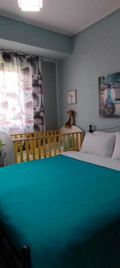 Andromache's Cozy Close To Meteora-trikala