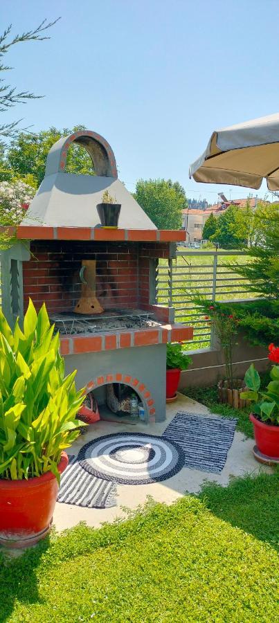 Andromache's Cozy Close To Meteora-trikala Villa *
